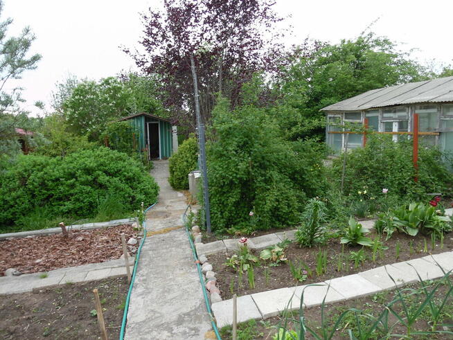 Działka ROd - Jedność Ostróda pow. 480m2