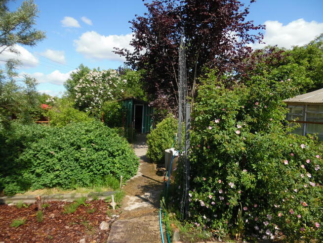 Działka ROd - Jedność Ostróda pow. 480m2