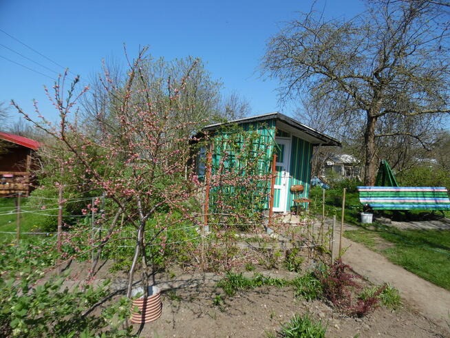 Działka ROd - Jedność Ostróda pow. 480m2