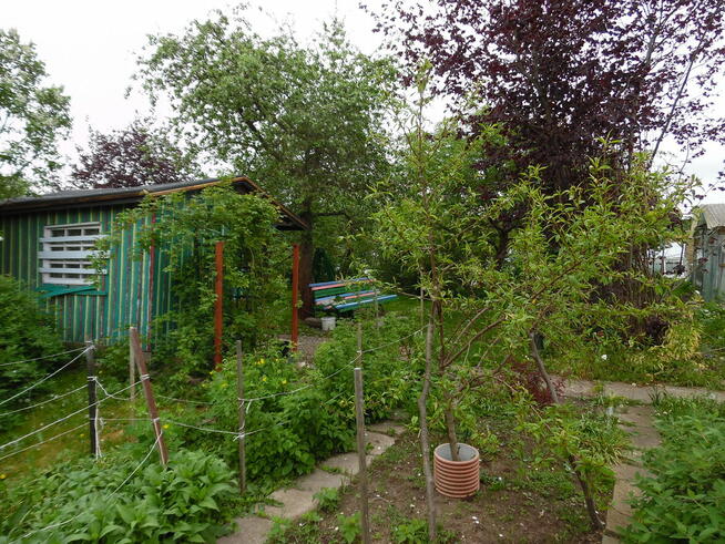 Działka ROd - Jedność Ostróda pow. 480m2