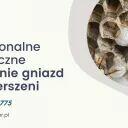 Usuwanie gniazd os i szerszeni