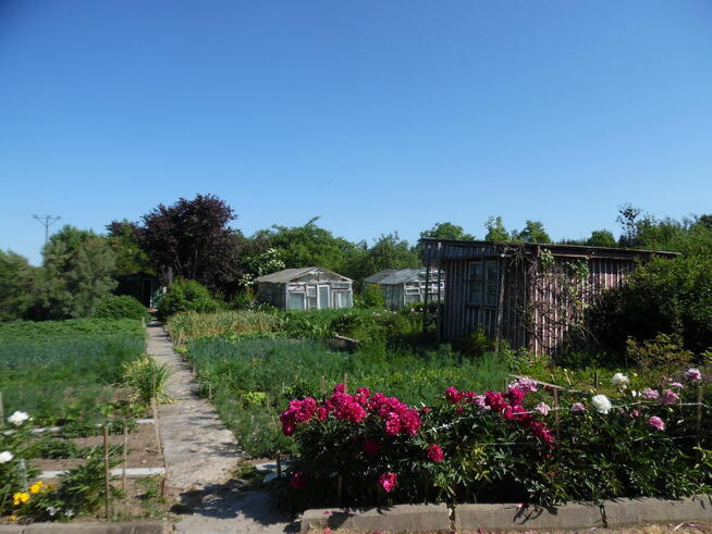 Działka ROd - Jedność Ostróda pow. 480m2