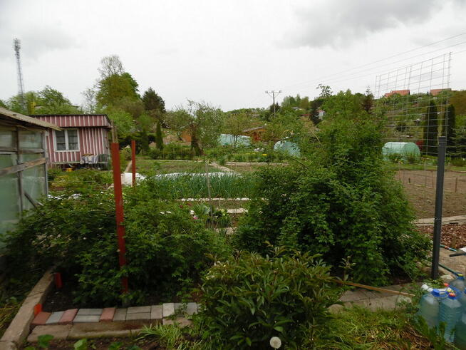 Działka ROd - Jedność Ostróda pow. 480m2