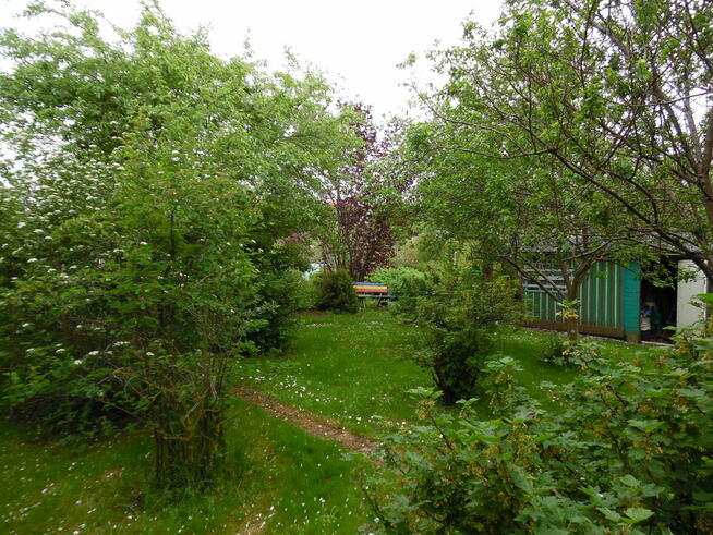 Działka ROD Jedność - Ostróda pow 420 m2