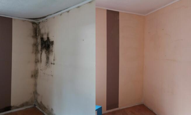 Odgrzybianie budynków