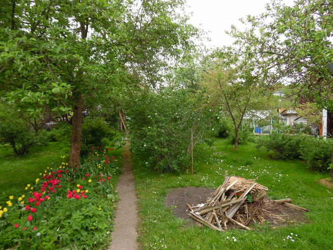 Działka ROD Jedność - Ostróda pow 420 m2