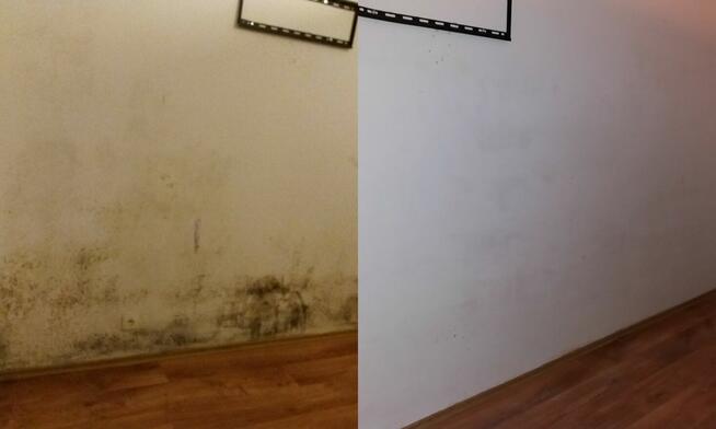 Odgrzybianie budynków