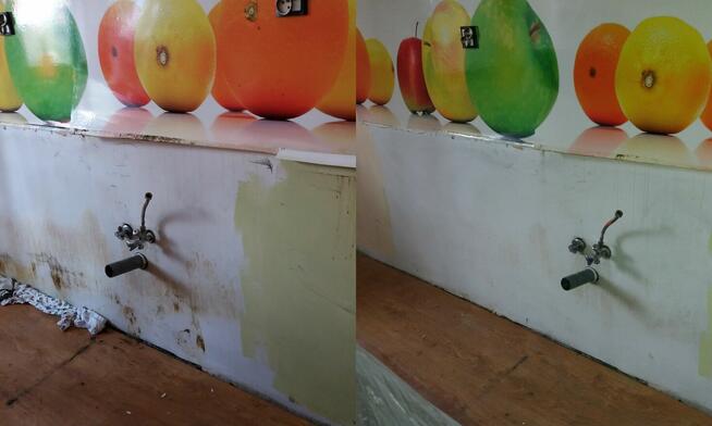 Odgrzybianie budynków