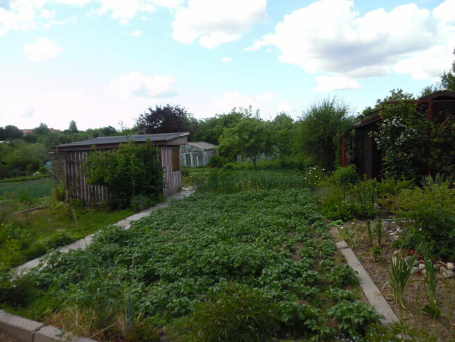 Działka ROD Jedność - Ostróda pow 420 m2