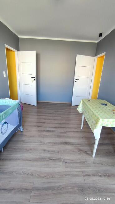 Malowanie, szpachlowanie,panele, GK,remonty i inne