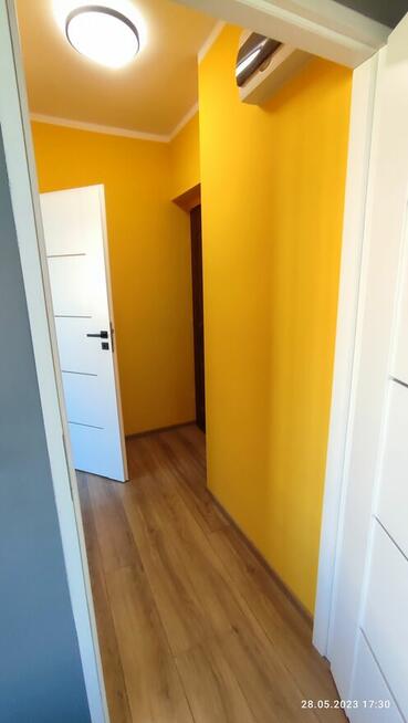 Malowanie, szpachlowanie,panele, GK,remonty i inne