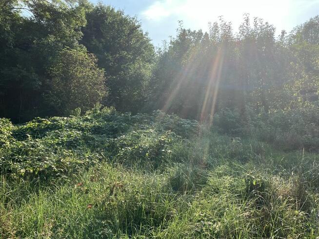 Pod Warszawą, budowlana, wygodny dojazd, możliwa zamiana