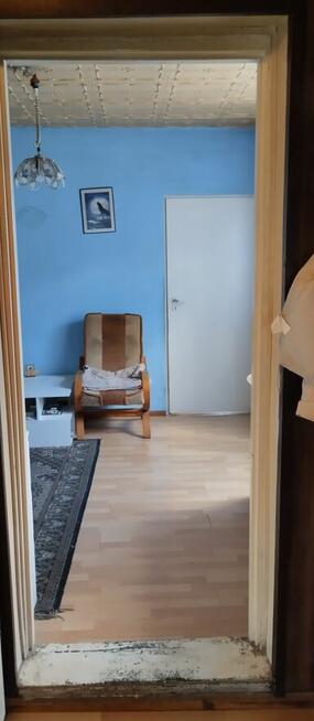 Dom na bardzo dużej działce. DO NEGOCJACJI