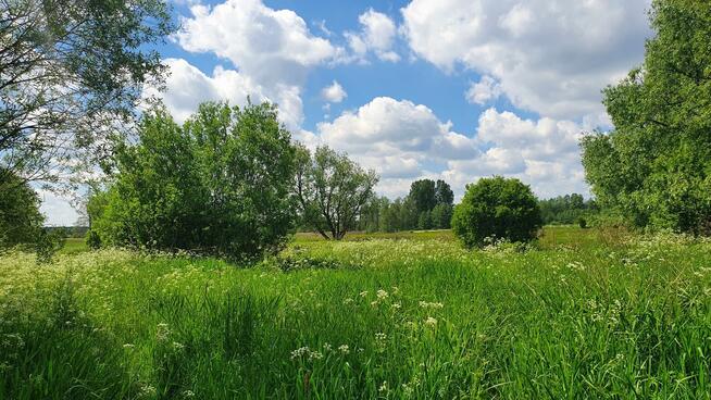 Działka budowlana Duchnów gm. Wiązowna