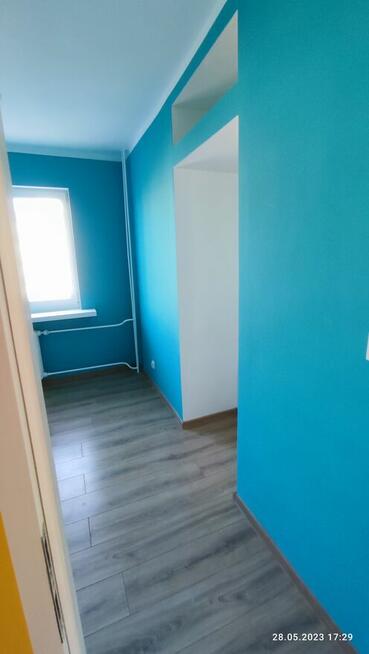 Malowanie, szpachlowanie,panele, GK,remonty i inne