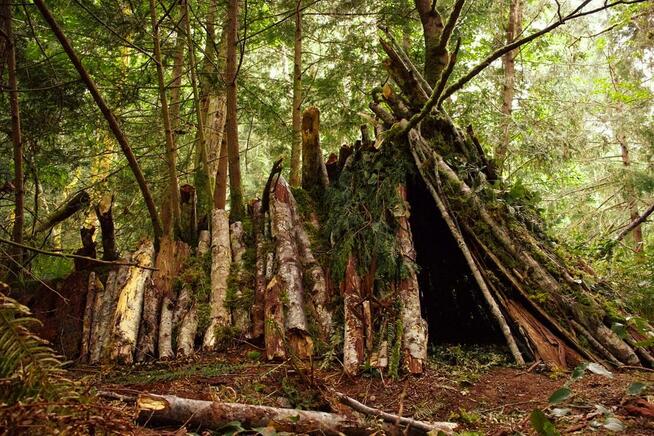 Obóz Survivalowy „Władcy Dżungli” - ViaCamp.pl - Obozy 2026