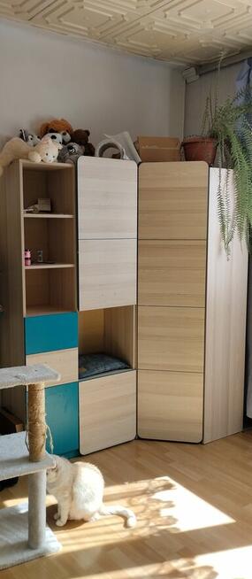 Dom na bardzo dużej działce. DO NEGOCJACJI