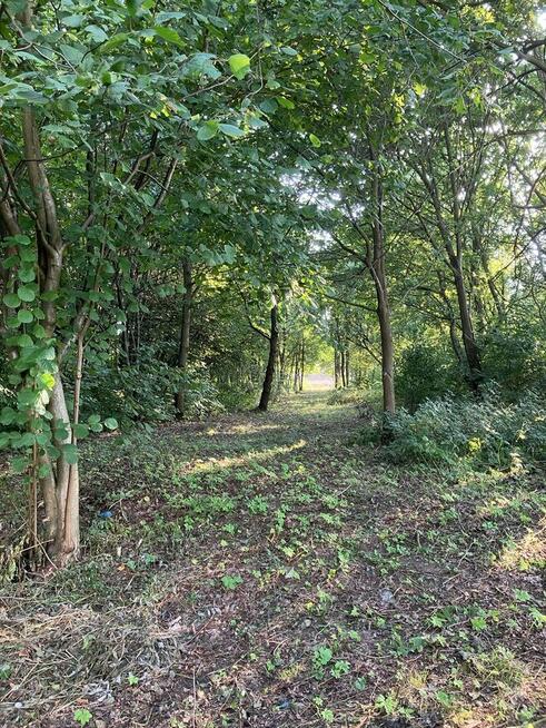 Pod Warszawą, budowlana, wygodny dojazd, możliwa zamiana