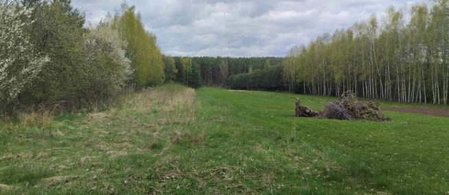 Dom na bardzo dużej działce. DO NEGOCJACJI