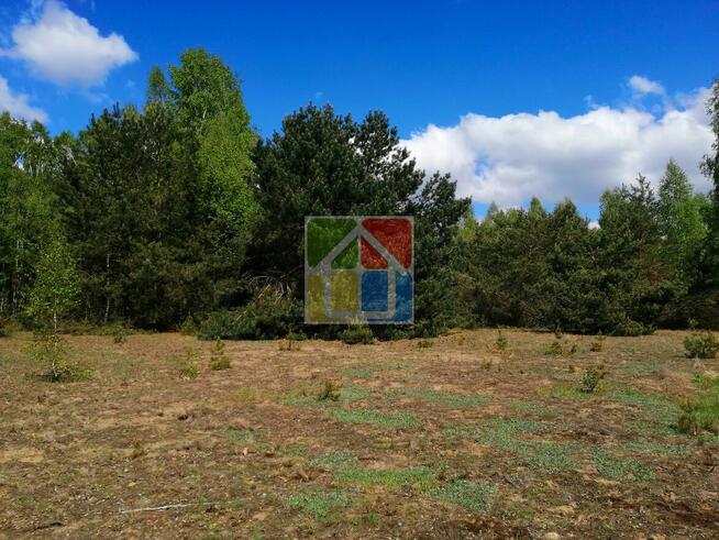 Piękna działka pod zabudowę w okolicy Szczawina