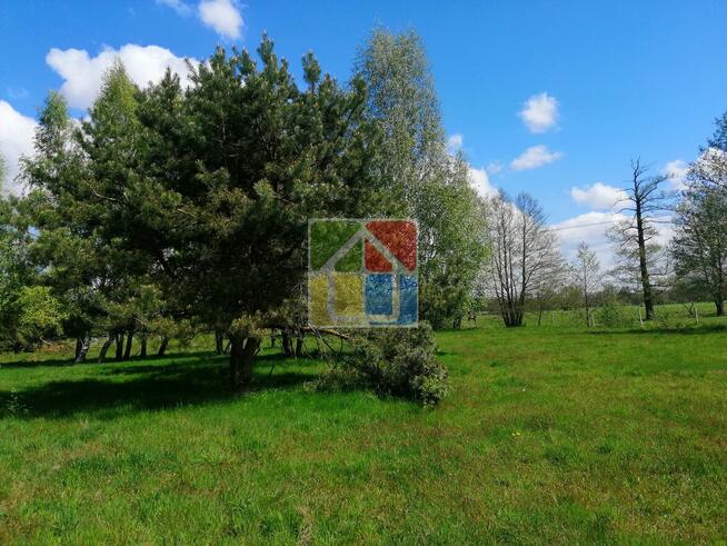 Piękna działka pod zabudowę w okolicy Szczawina