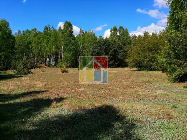 Piękna działka pod zabudowę w okolicy Szczawina