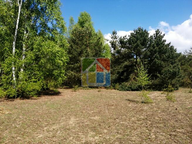 Piękna działka pod zabudowę w okolicy Szczawina