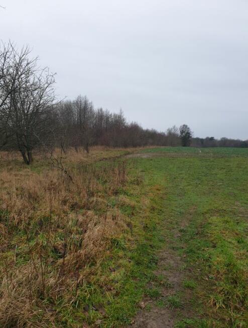 Działki budowlane nad morzem przy lesie