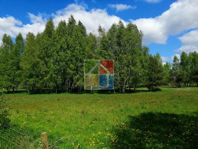 Piękna działka pod zabudowę w okolicy Szczawina