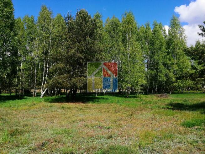 Piękna działka pod zabudowę w okolicy Szczawina