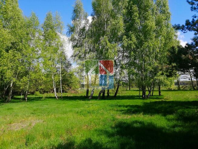 Piękna działka pod zabudowę w okolicy Szczawina