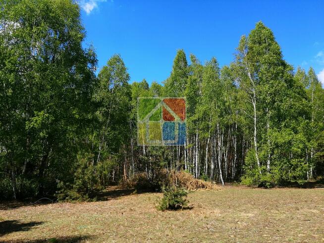 Piękna działka pod zabudowę w okolicy Szczawina