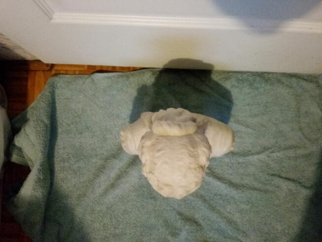 Popiersie kobiety z białego marmuru