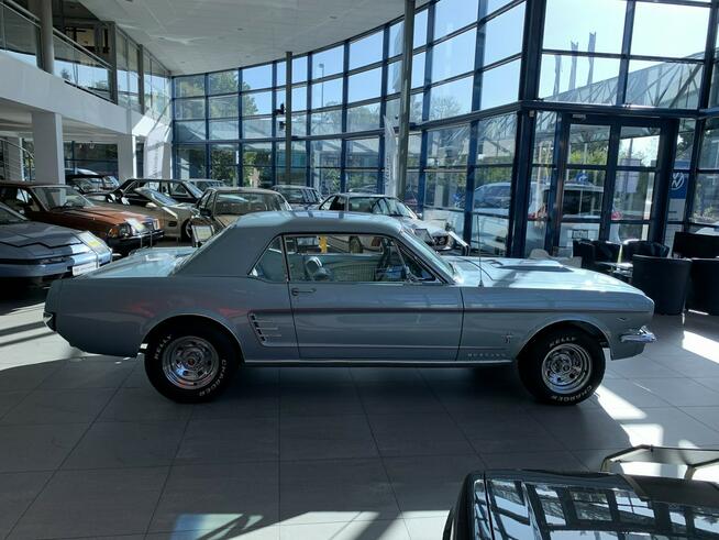 Piękny i niepowtarzalny Mustang z 1966 roku