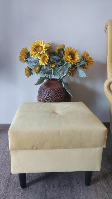 Fotel USZAK z PODNUSZKIEM