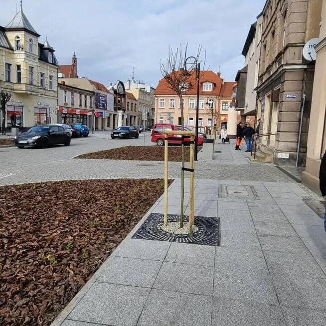 KRATOWNICA OSŁONA KRATA OCHRONNA125x125 ŻELIWNA Baumrost