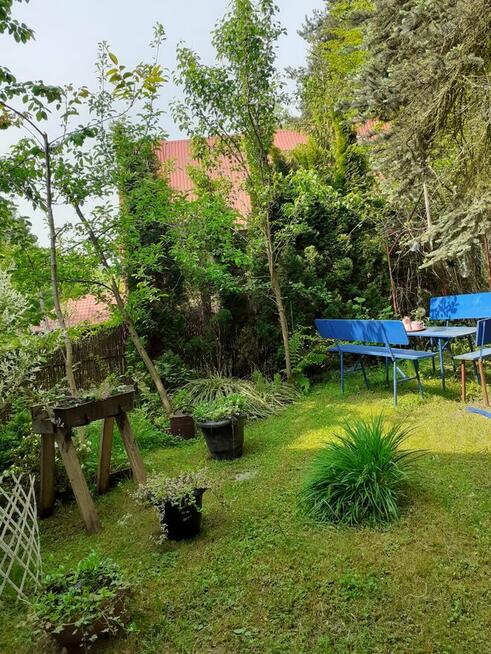 Dom w Pcimiu sprzedamy