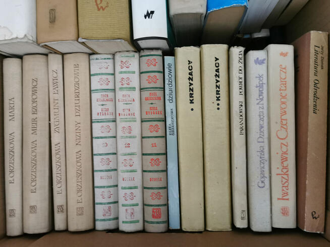 Książki - likwidacja biblioteki - 10 zł.