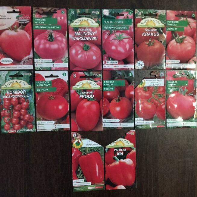 Rozsada flance sadzonki pomidora