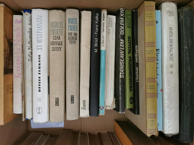 Książki - likwidacja biblioteki - 10 zł.
