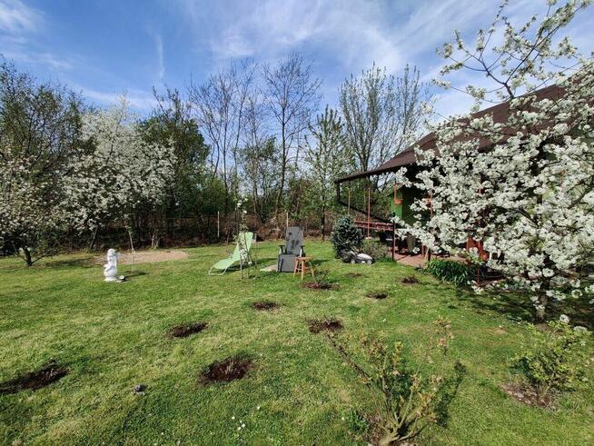 Ogródek działkowy ROD Malwa Bytom