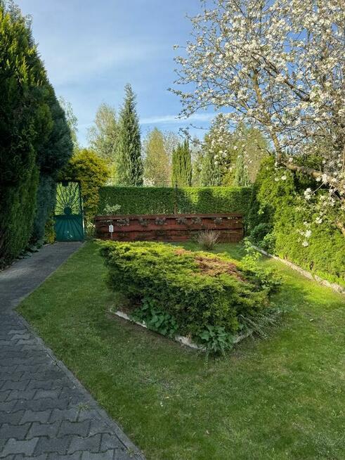 Odstąpię ogródek działkowy