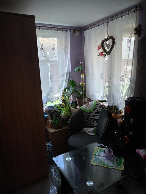 Sprzedam Dom drewniany