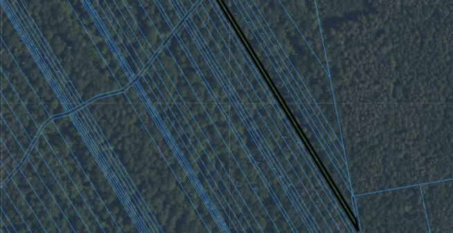 Las Dębowy w Leśniczówce: Doskonały Surowiec!