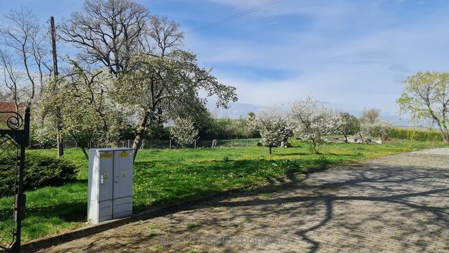 Na sprzedaż 3 działki budowlane Sosnowa