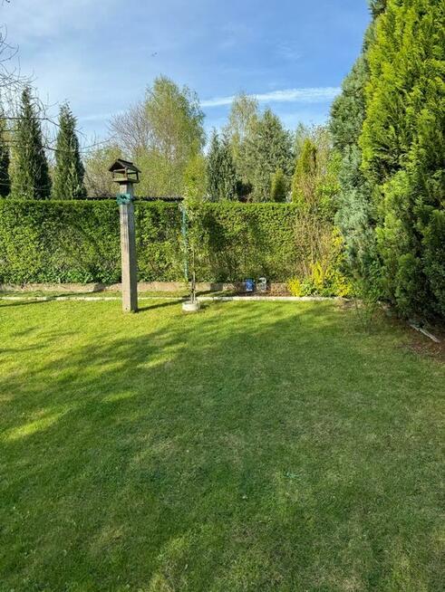 Odstąpię ogródek działkowy