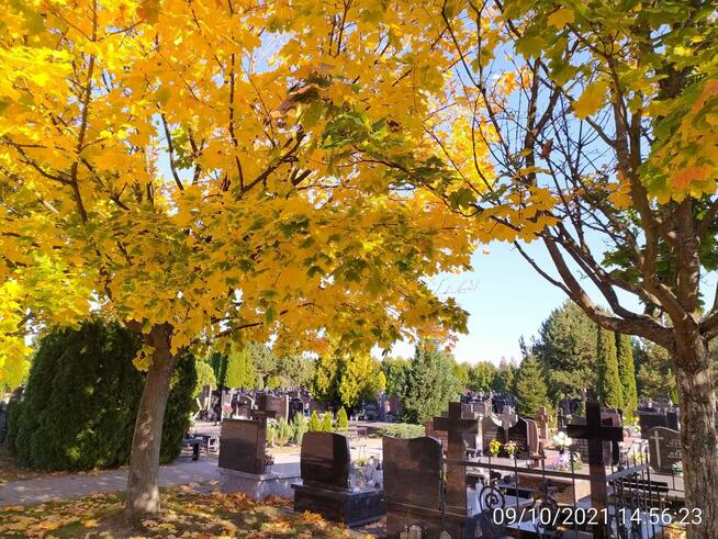 Opieka nad grobami WARSZAWA - wszystkie cmentarze