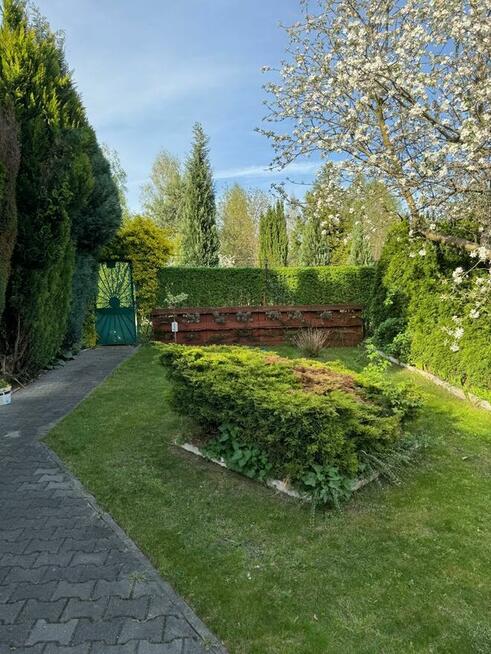 Odstąpię ogródek działkowy