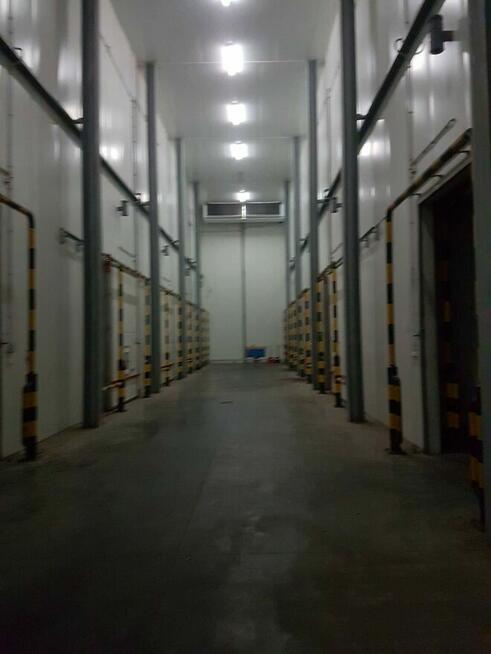 Budynek magazynowo-produkcyjny