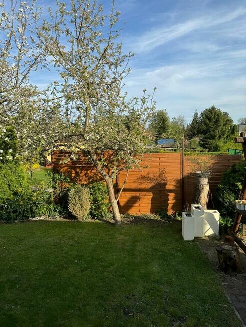 Odstąpię ogródek działkowy